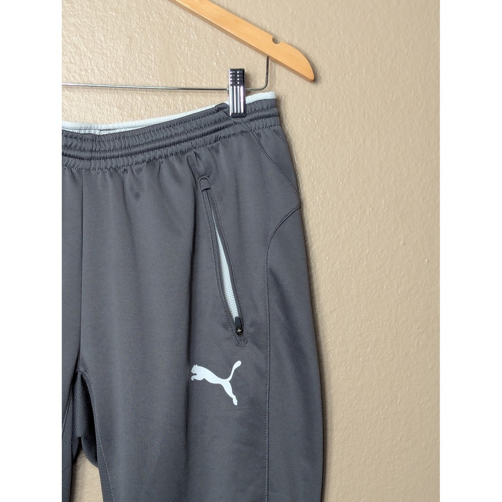Puma Chivas Guadalajara Training Pants‎ Men Medium Grey Soccer Athletic - Picture 3 of 16